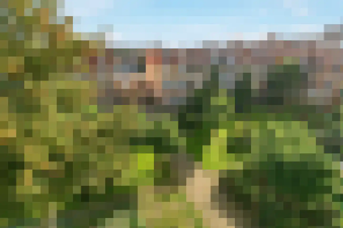 Kuilsenhofweg 35 Amsterdam thumbnail 18
