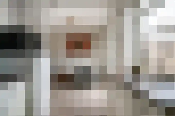 Kuilsmaat 22 Zevenaar thumbnail 11