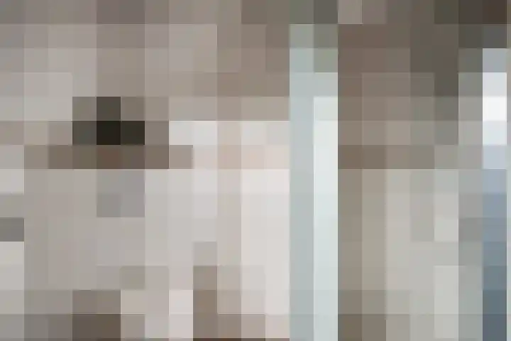 Kuilsmaat 22 Zevenaar thumbnail 24