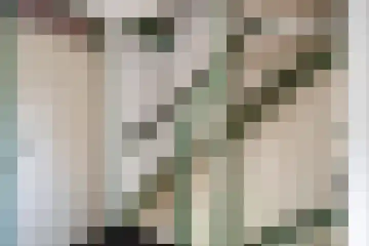 Kuilsmaat 22 Zevenaar thumbnail 25