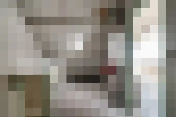 Kuilsmaat 22 Zevenaar thumbnail 27