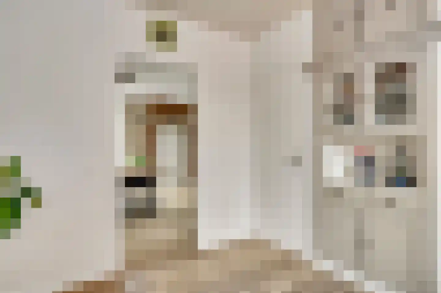 Kuilstraat 18 Ospel thumbnail 15