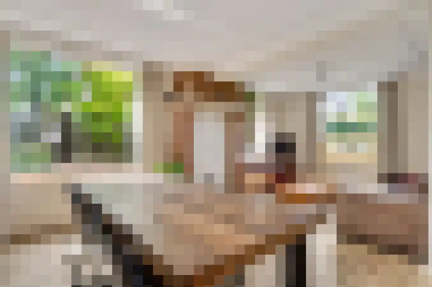 Kuilstraat 18 Ospel thumbnail 5