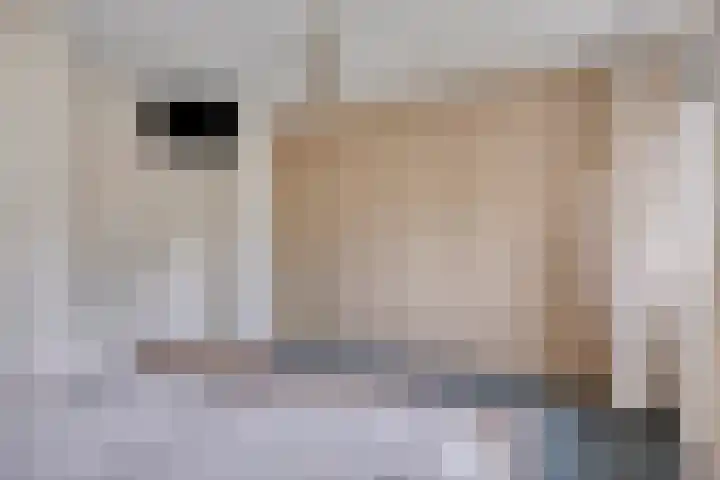 Kuiltjeshei 12 Best thumbnail 32