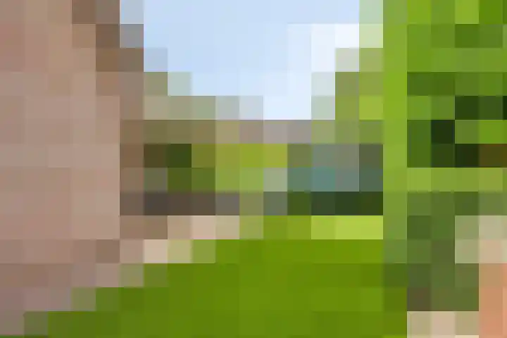Kuiltjeshei 12 Best thumbnail 45
