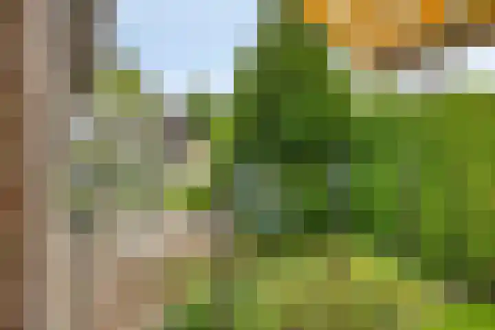 Kuiltjeshei 12 Best thumbnail 47