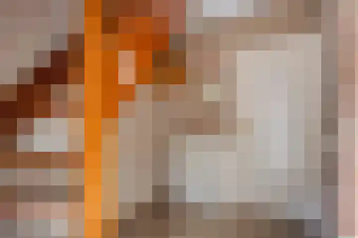 Kuiltjeshei 12 Best thumbnail 5