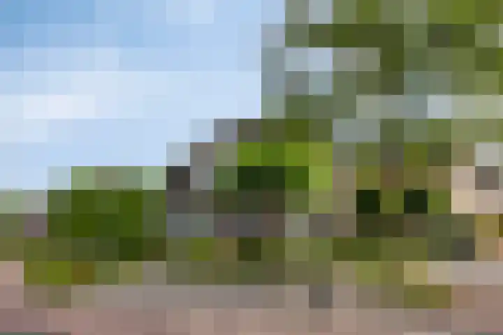 Kuiltjeshei 12 Best thumbnail 50