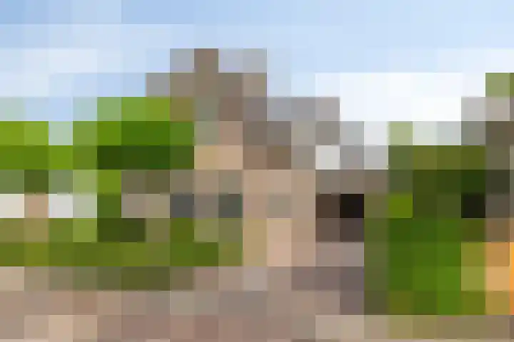 Kuiltjeshei 12 Best thumbnail 58