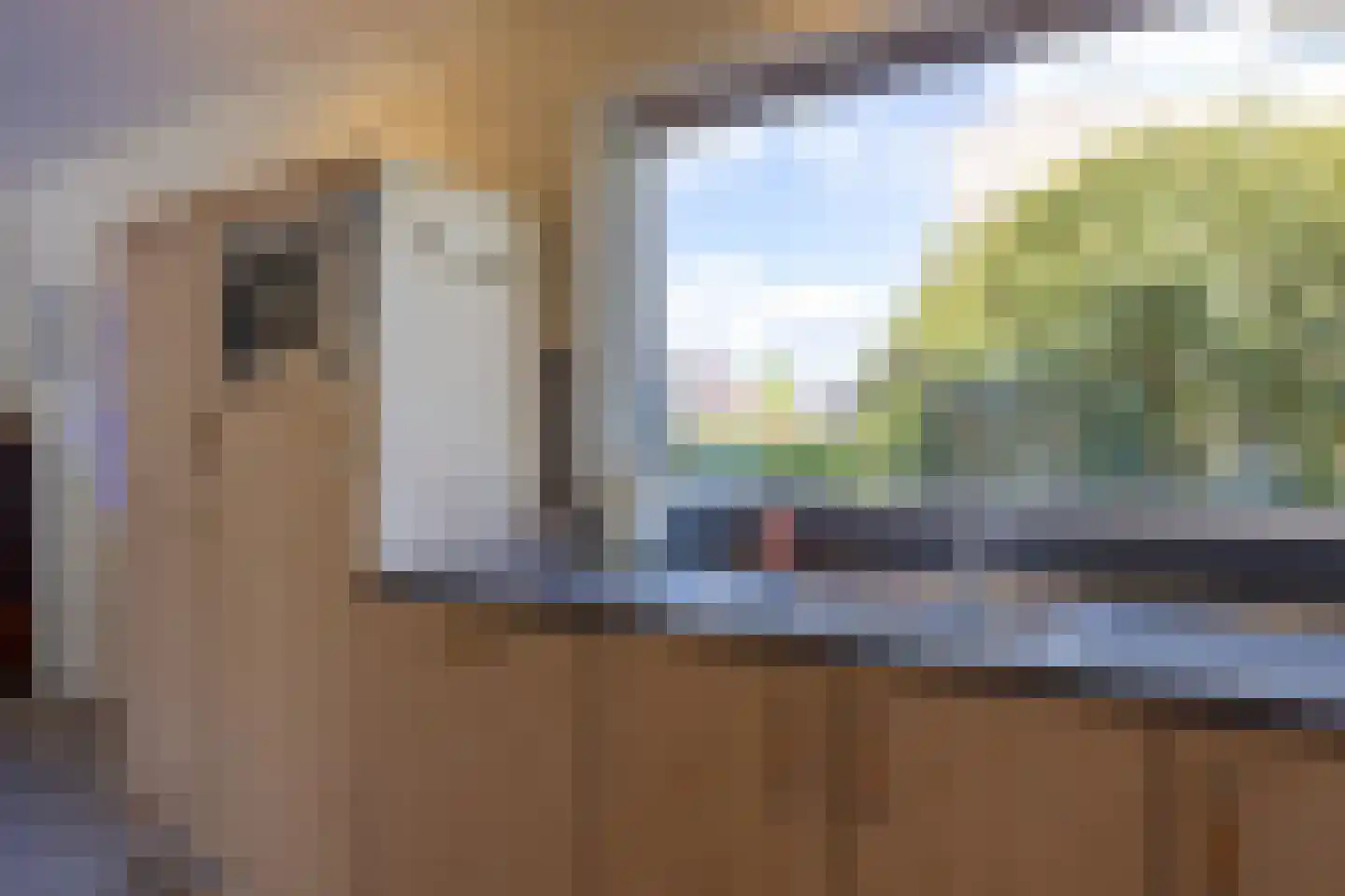 Kuiltjeshei 57 Best thumbnail 13