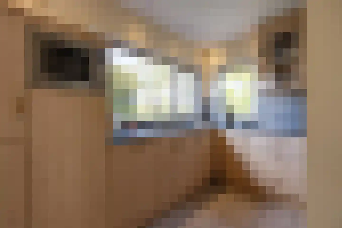 Kuiltjeshei 57 Best thumbnail 4