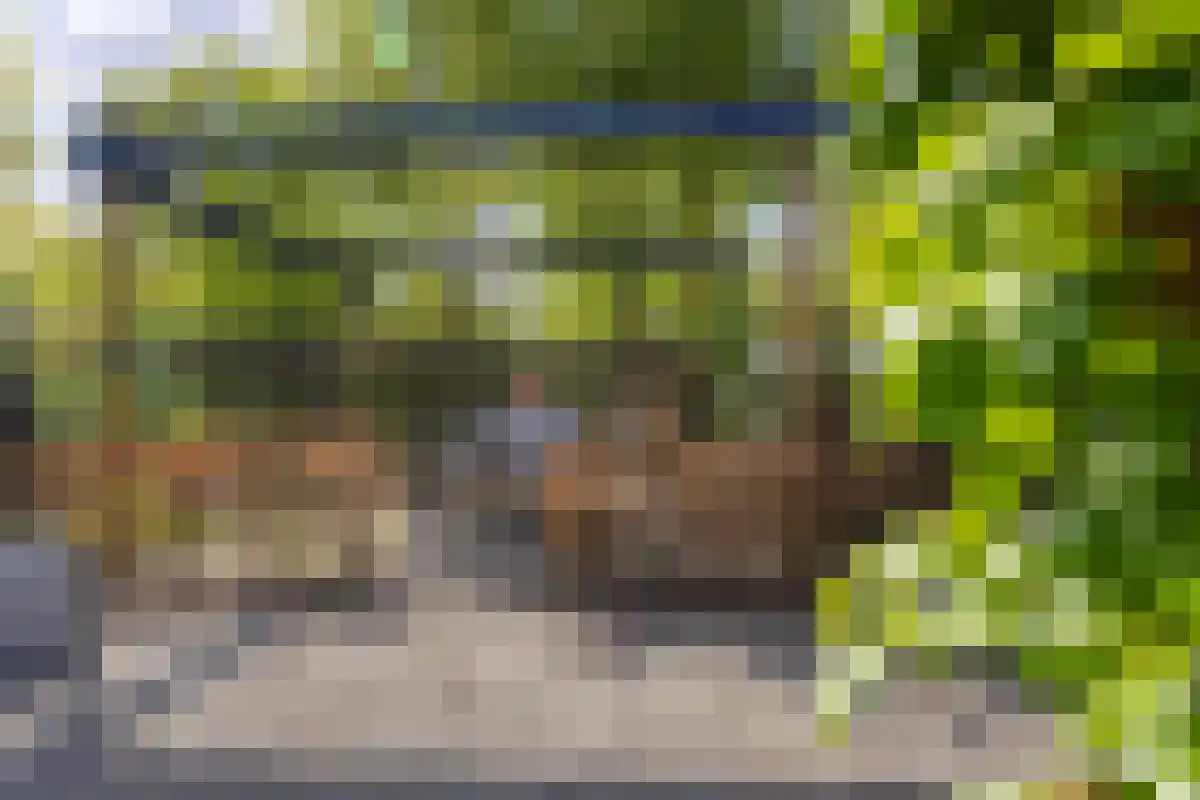 Kuiltjeshei 57 Best thumbnail 46
