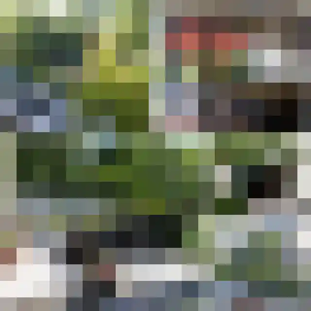 Kuiltjeshei 57 Best thumbnail 53