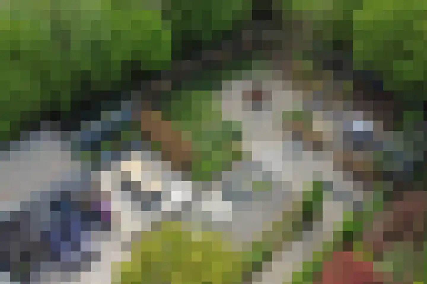 Kuiltjeshei 57 Best thumbnail 57