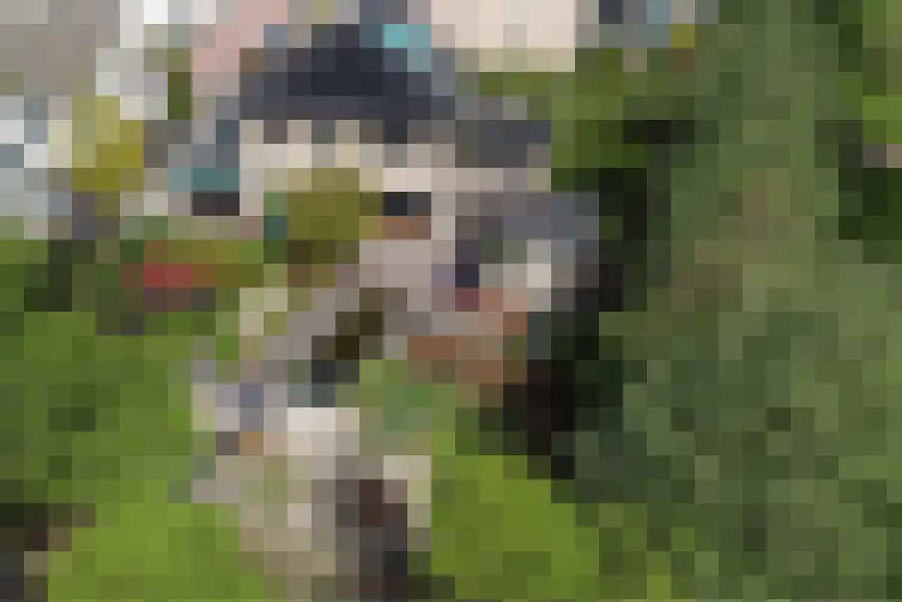 Kuiltjeshei 57 Best thumbnail 58