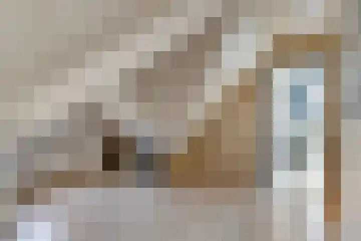 Kuiltjeshei 71 Best thumbnail 58