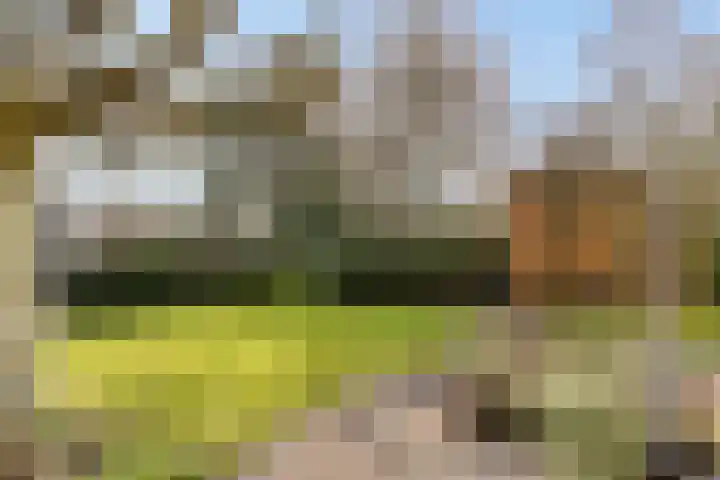 Kuiltjeshei 71 Best thumbnail 69