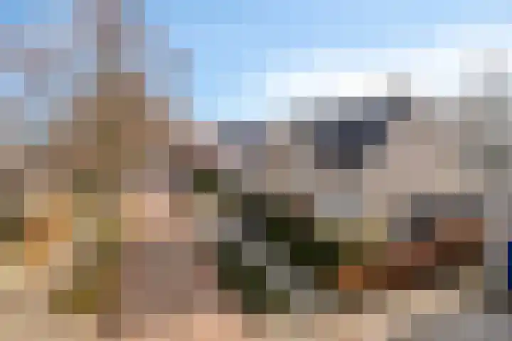 Kuiltjeshei 71 Best thumbnail 7