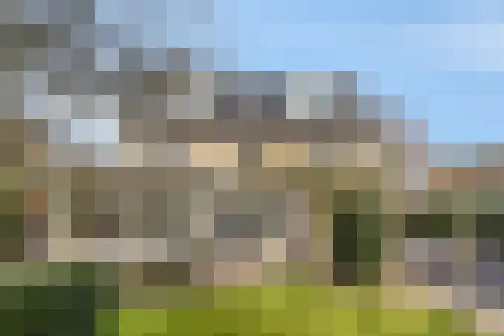 Kuiltjeshei 71 Best thumbnail 70