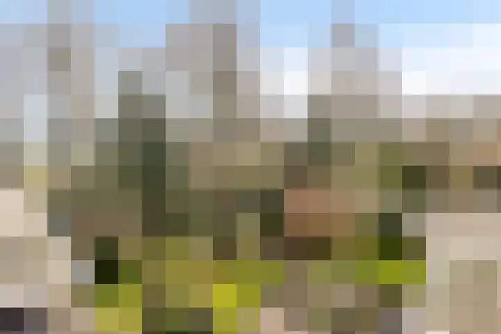Kuiltjeshei 71 Best thumbnail 76