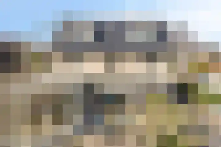Kuiltjeshei 71 Best thumbnail 77