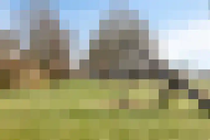 Kuiltjeshei 71 Best thumbnail 82