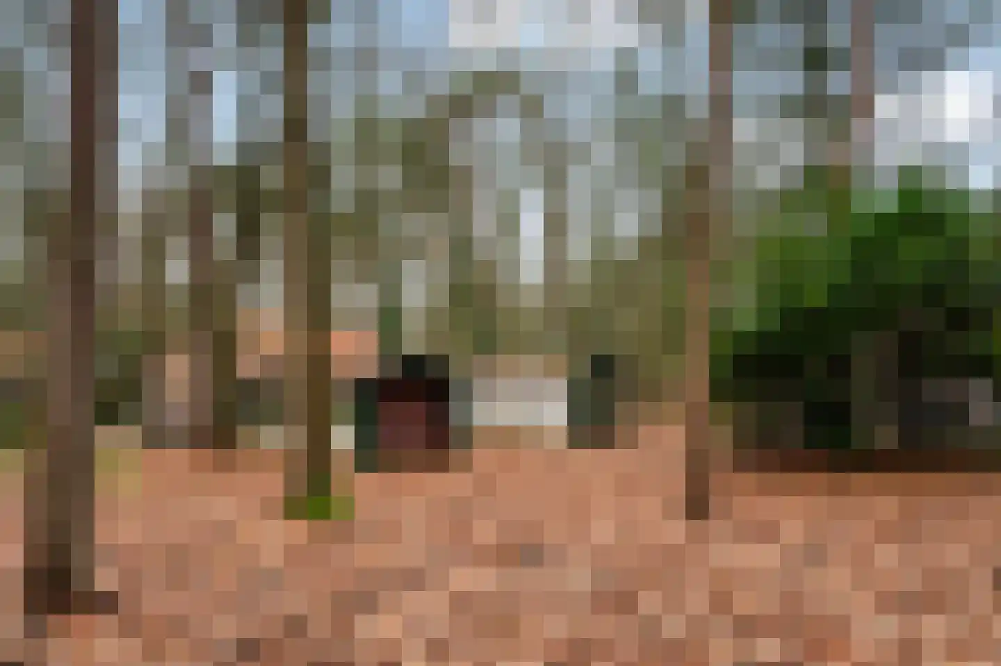 Kuiltjesweg 45 Beekbergen thumbnail 34