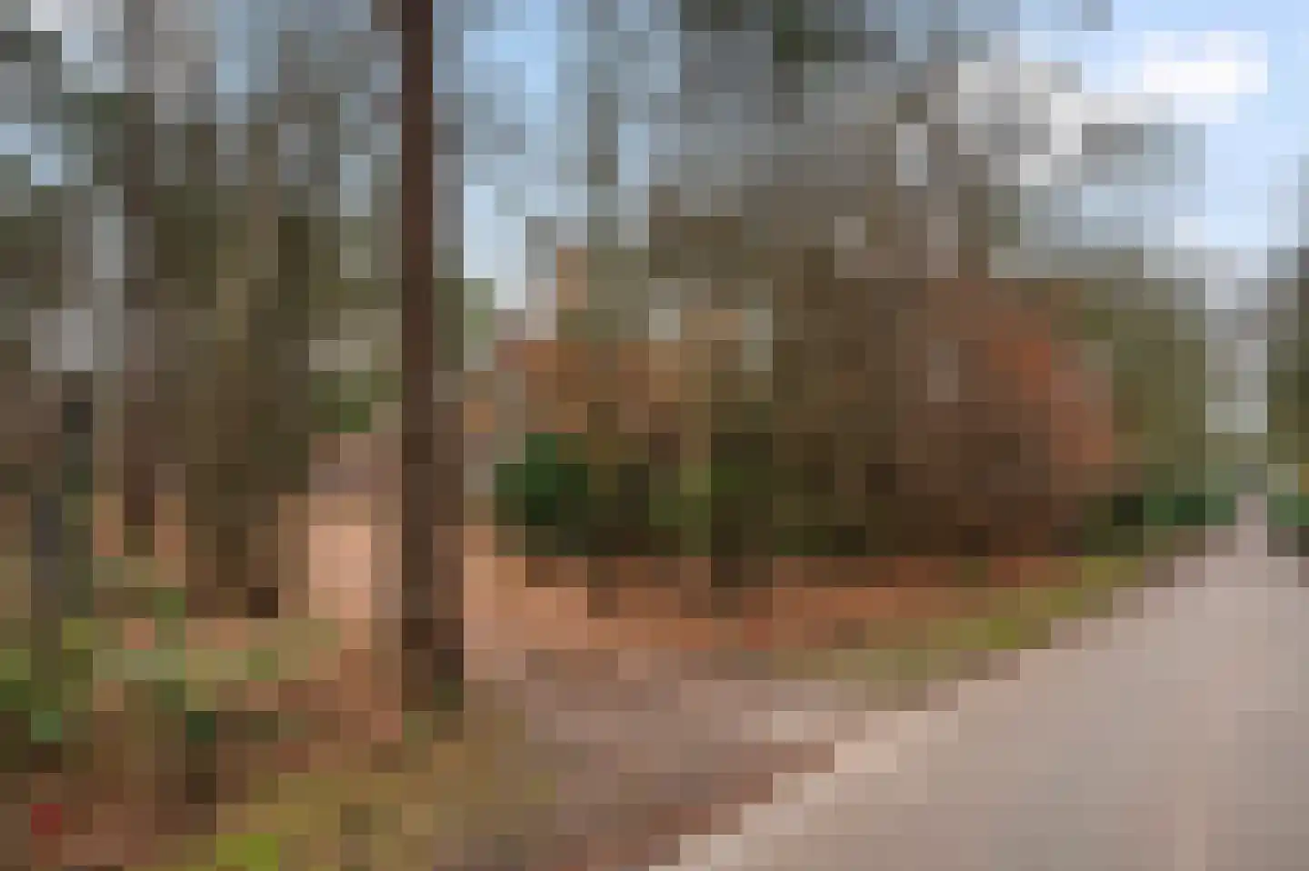 Kuiltjesweg 45 Beekbergen thumbnail 35