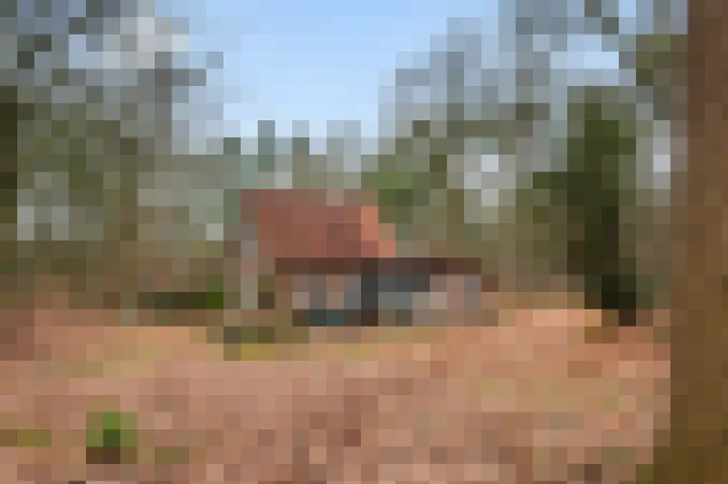 Kuiltjesweg 45 Beekbergen thumbnail 4