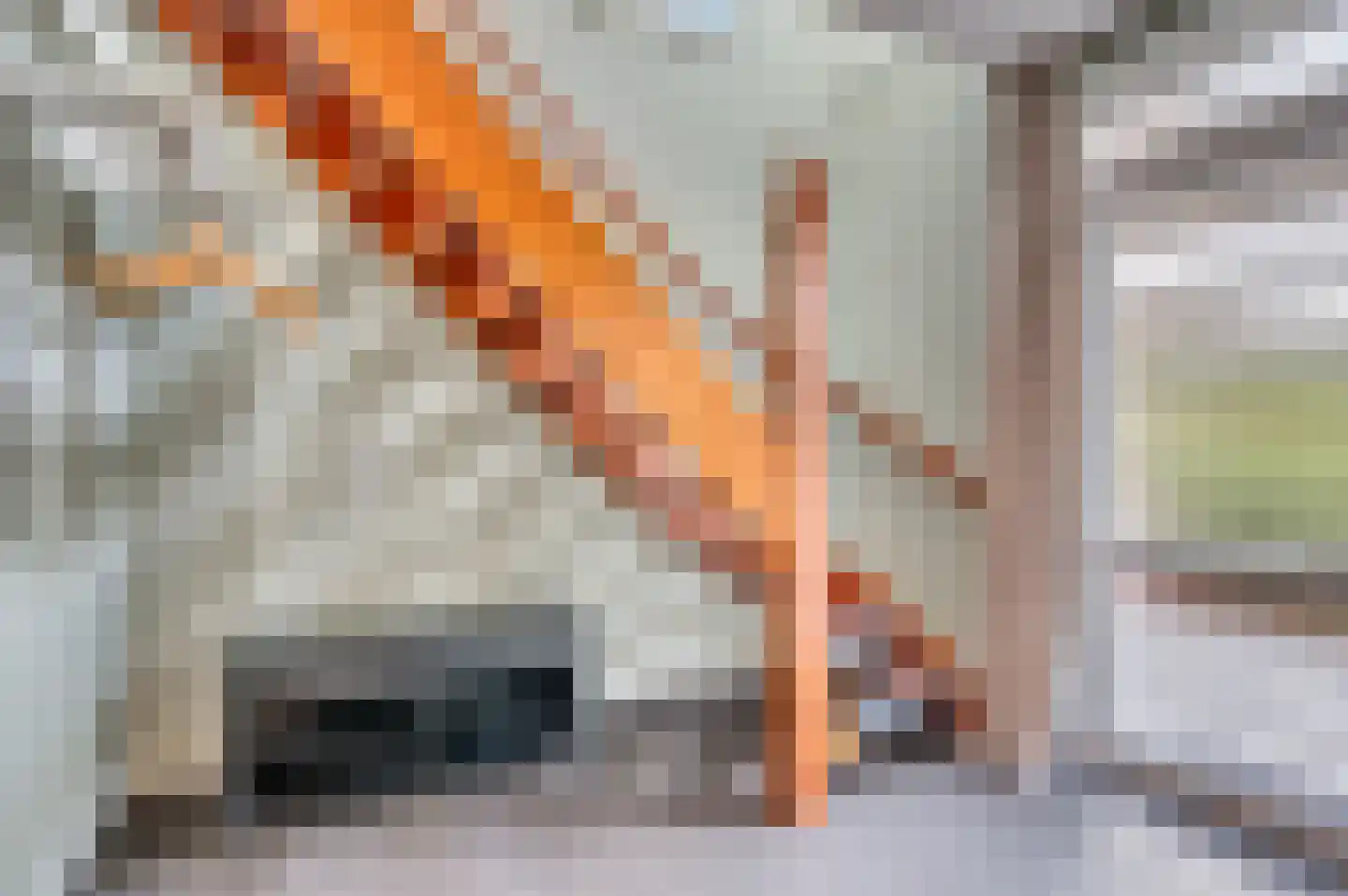 Kuilveld 15 Grubbenvorst thumbnail 11
