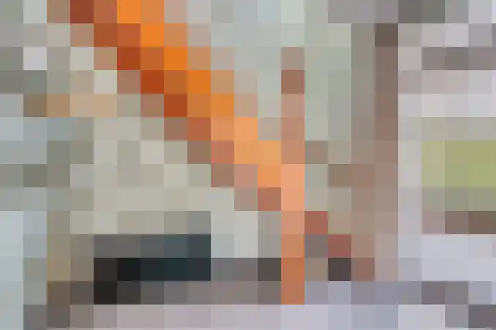 Kuilveld 15 Grubbenvorst thumbnail 11