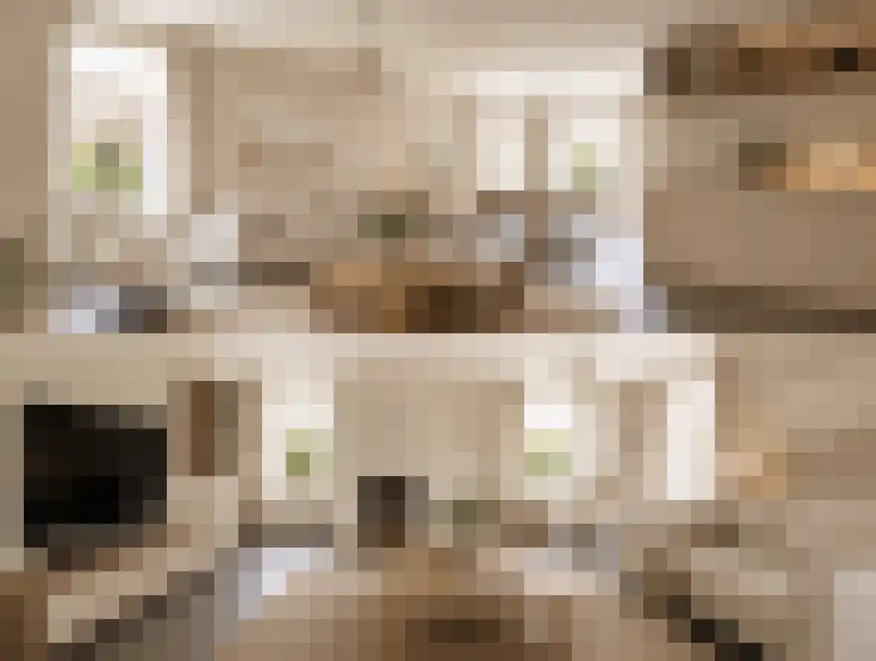 Kuilveld 15 Grubbenvorst thumbnail 19