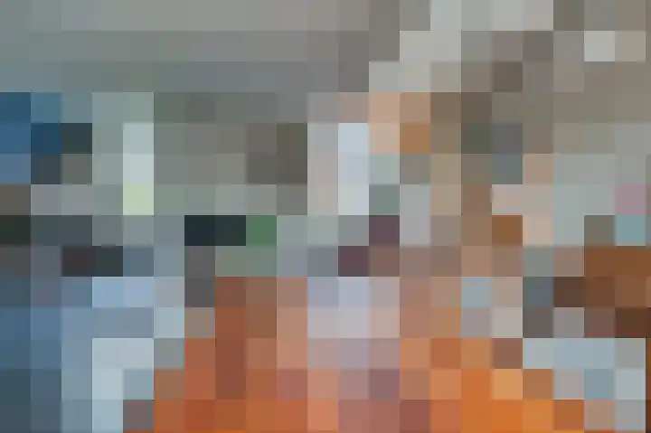 Kuilveld 15 Grubbenvorst thumbnail 25