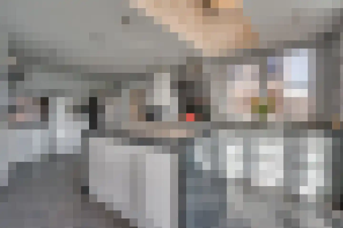 Kuilveld 15 Grubbenvorst thumbnail 35