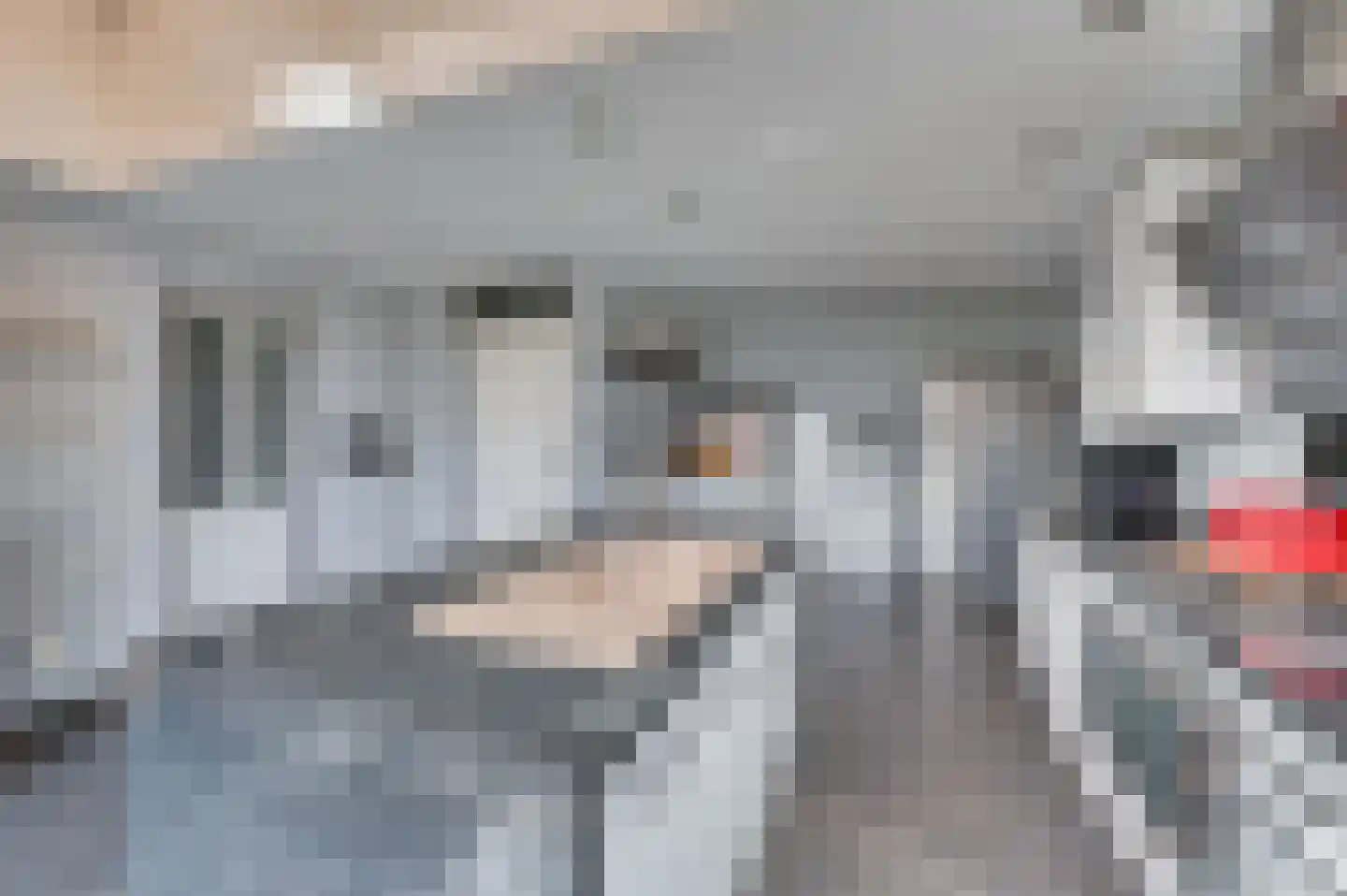 Kuilveld 15 Grubbenvorst thumbnail 36