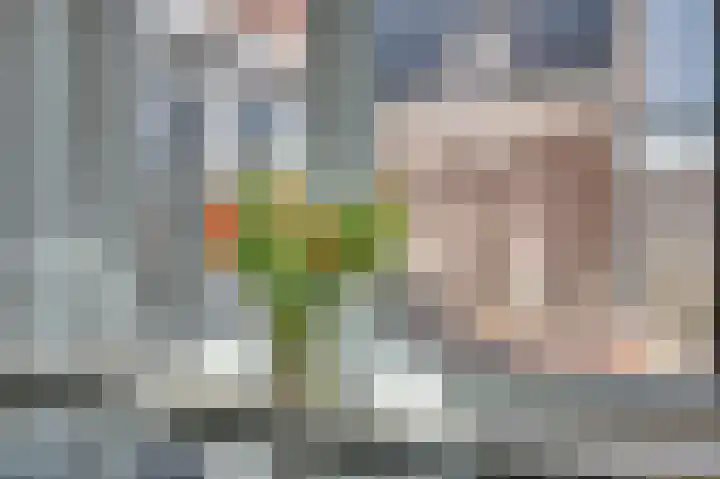 Kuilveld 15 Grubbenvorst thumbnail 37