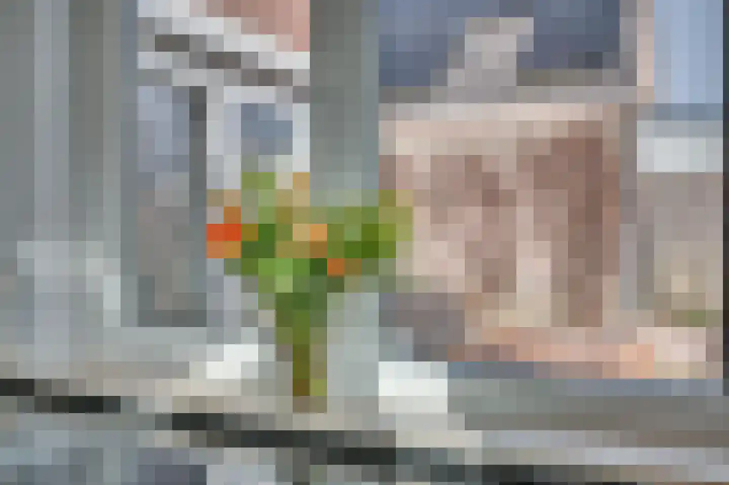 Kuilveld 15 Grubbenvorst thumbnail 37