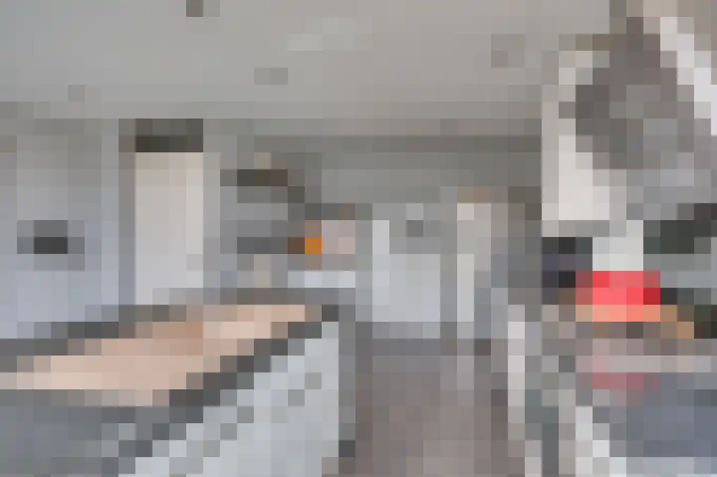 Kuilveld 15 Grubbenvorst thumbnail 38
