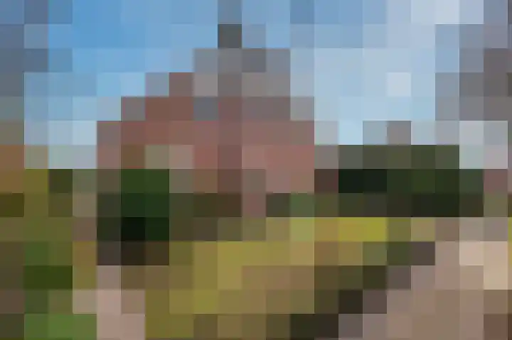 Kuilveld 15 Grubbenvorst thumbnail 4