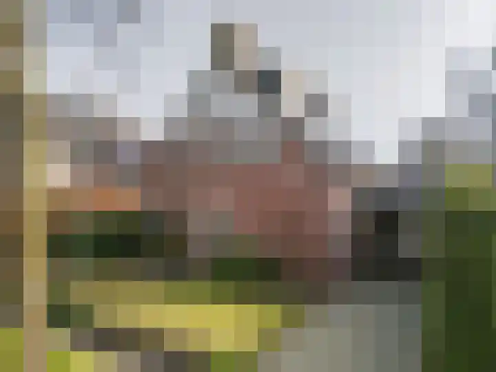 Kuilveld 15 Grubbenvorst thumbnail 5