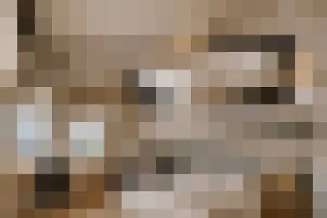 Kuilveld 15 Grubbenvorst thumbnail 53