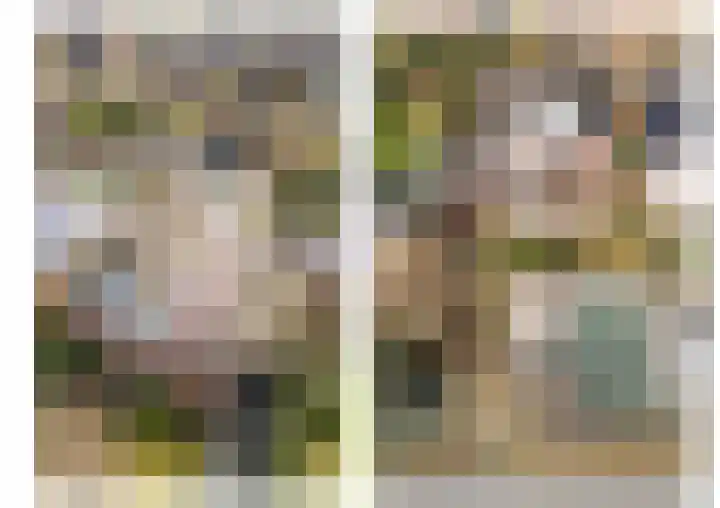 Kuilveld 15 Grubbenvorst thumbnail 6