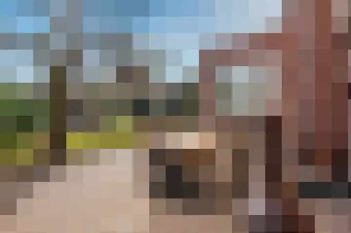 Kuilveld 15 Grubbenvorst thumbnail 62