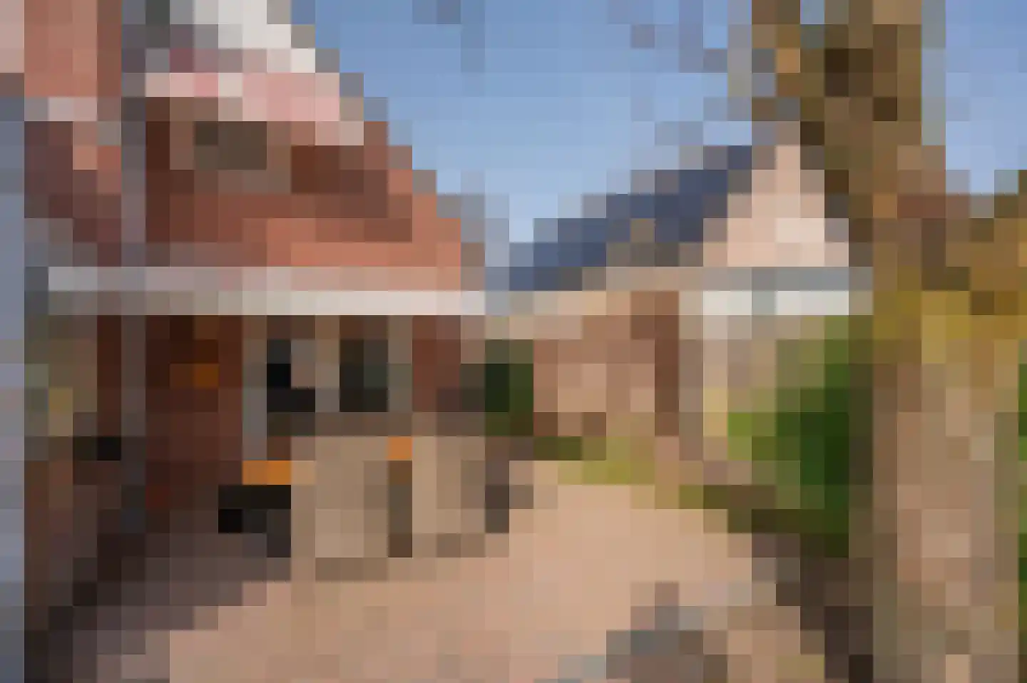 Kuilveld 15 Grubbenvorst thumbnail 72