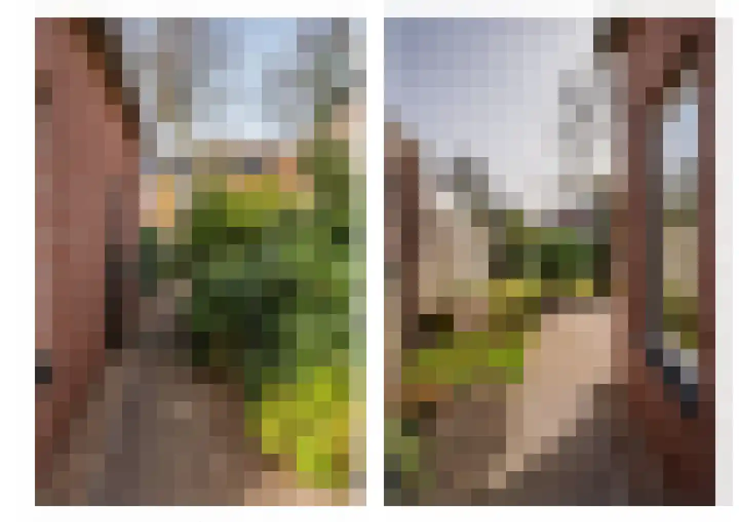 Kuilveld 15 Grubbenvorst thumbnail 75