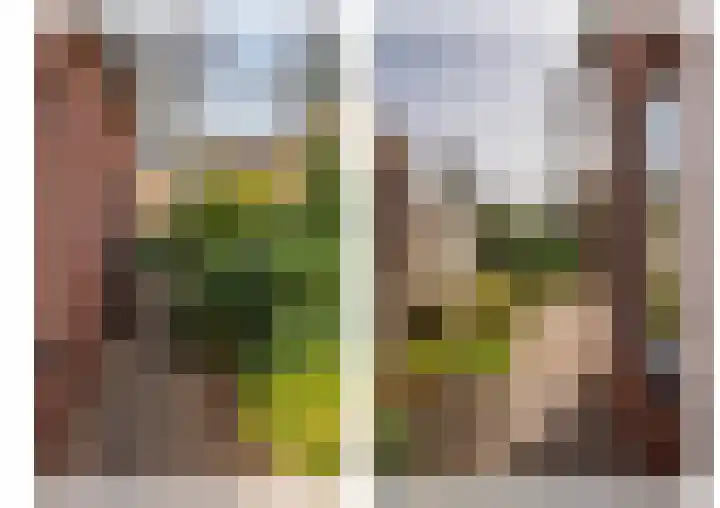 Kuilveld 15 Grubbenvorst thumbnail 75