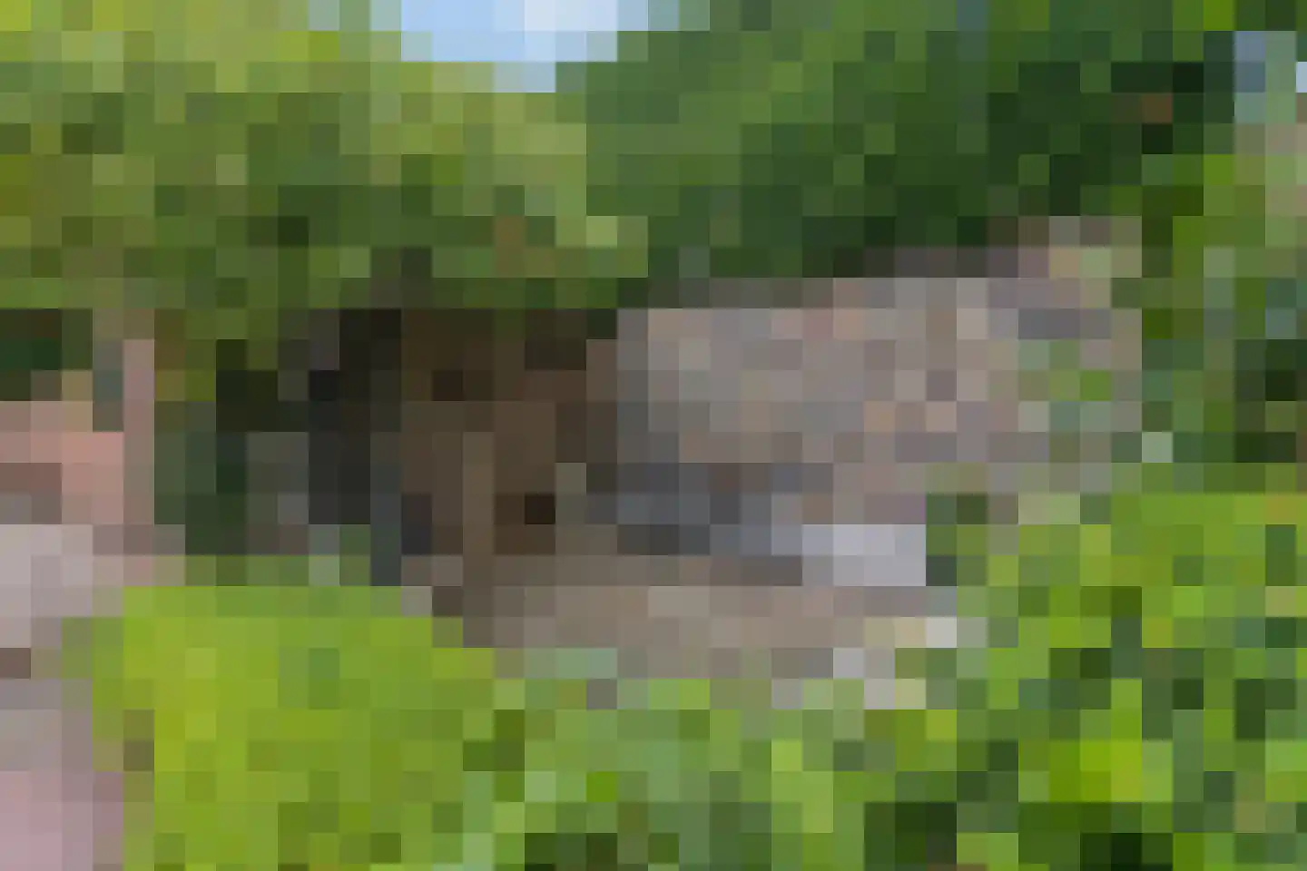 Kuilweg 2 Rhenen thumbnail 30