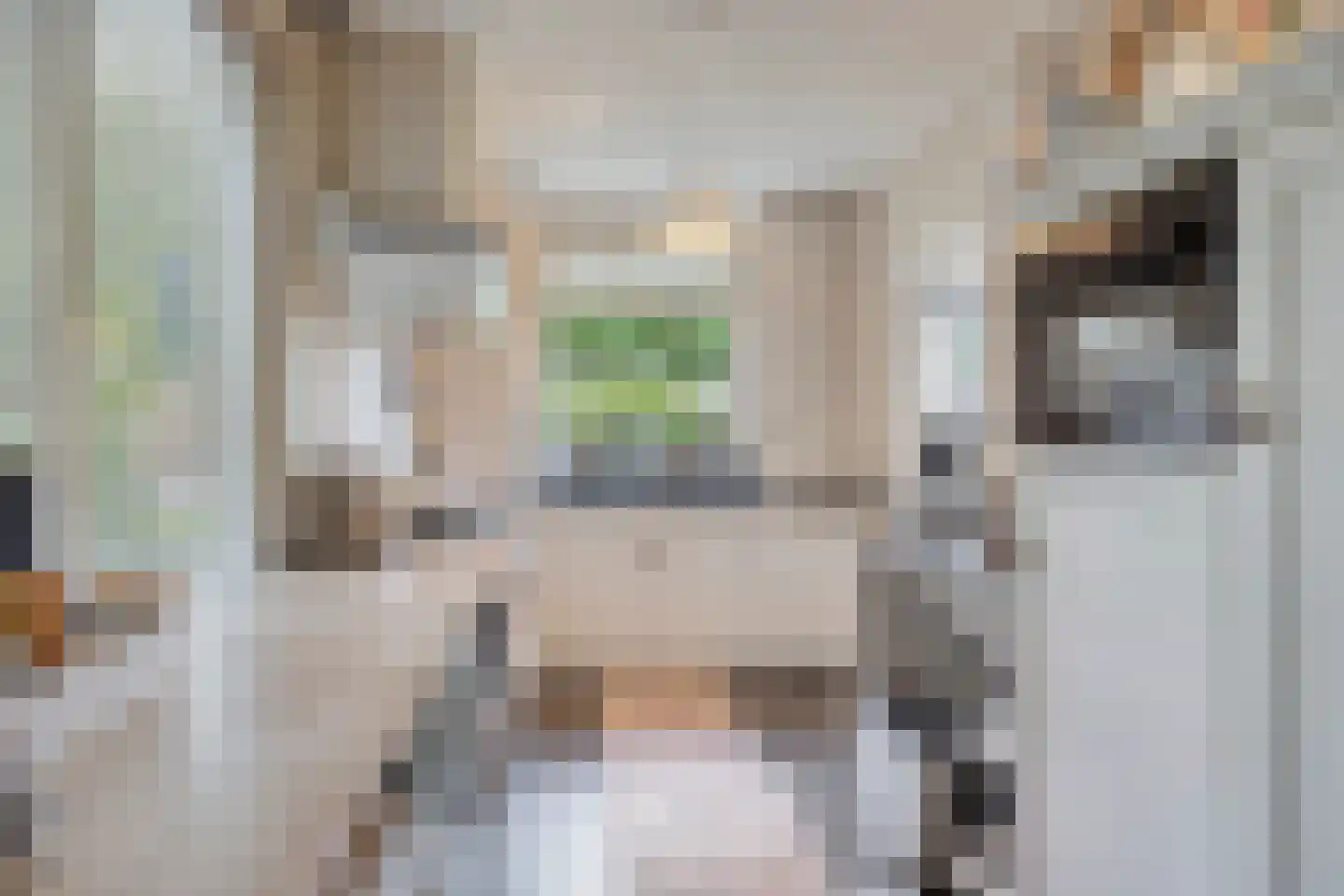 Kuimgaarden 6 Diepenheim thumbnail 10