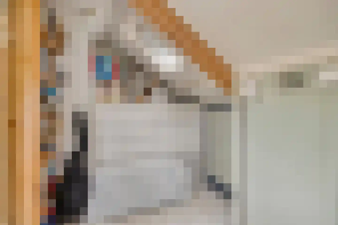 Kuimgaarden 6 Diepenheim thumbnail 26