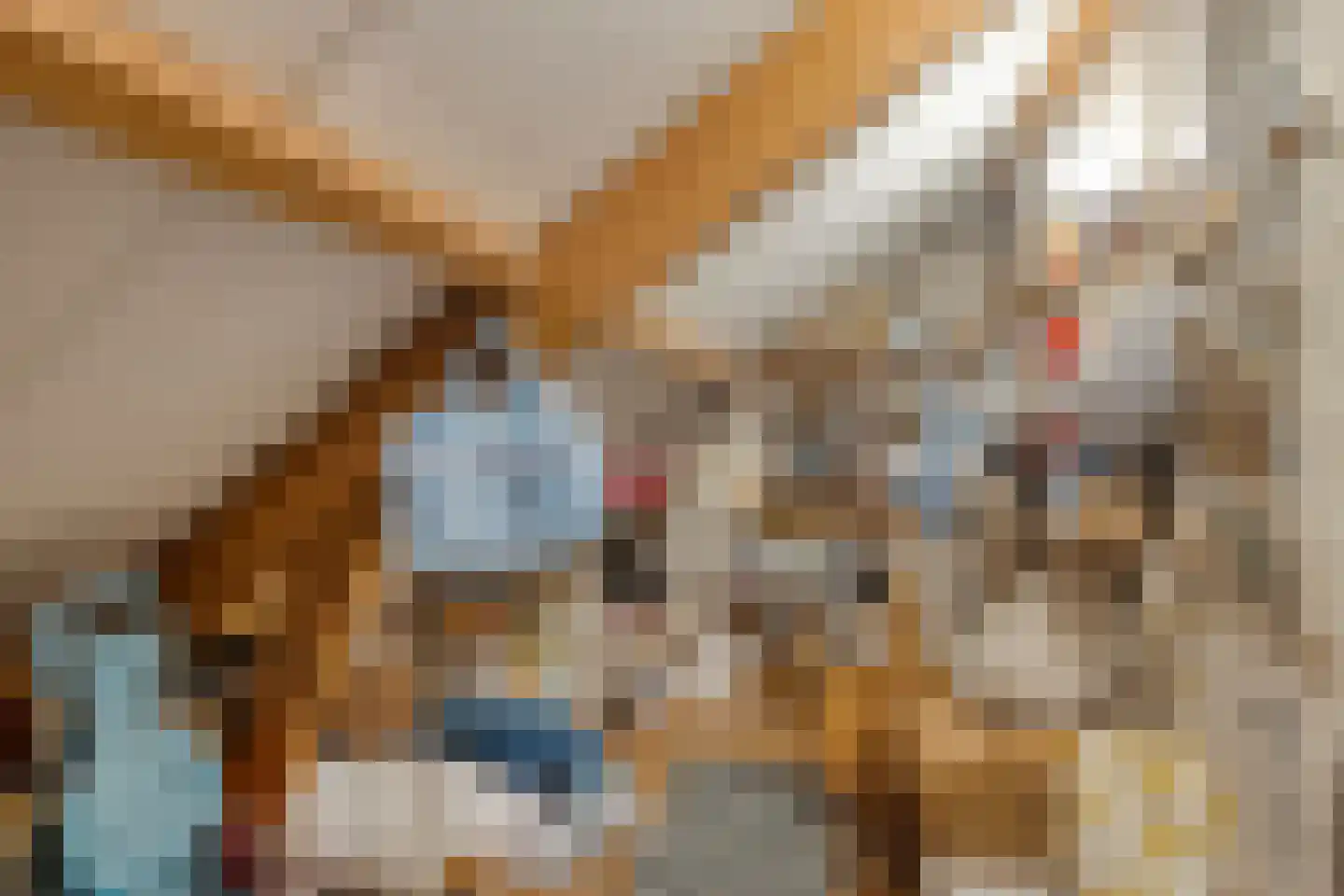 Kuimgaarden 6 Diepenheim thumbnail 27